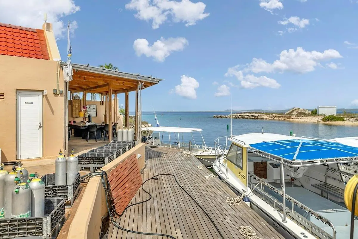 Port Bonaire Oasis A701 With Sea View Apartment Kralendijk   Kralendijk (Bonaire)